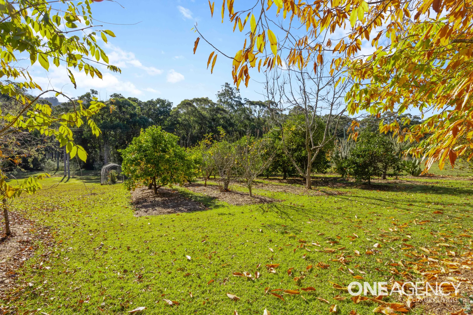 Additional image 19 of 353 Bendeela Road, Kangaroo Valley NSW 2577