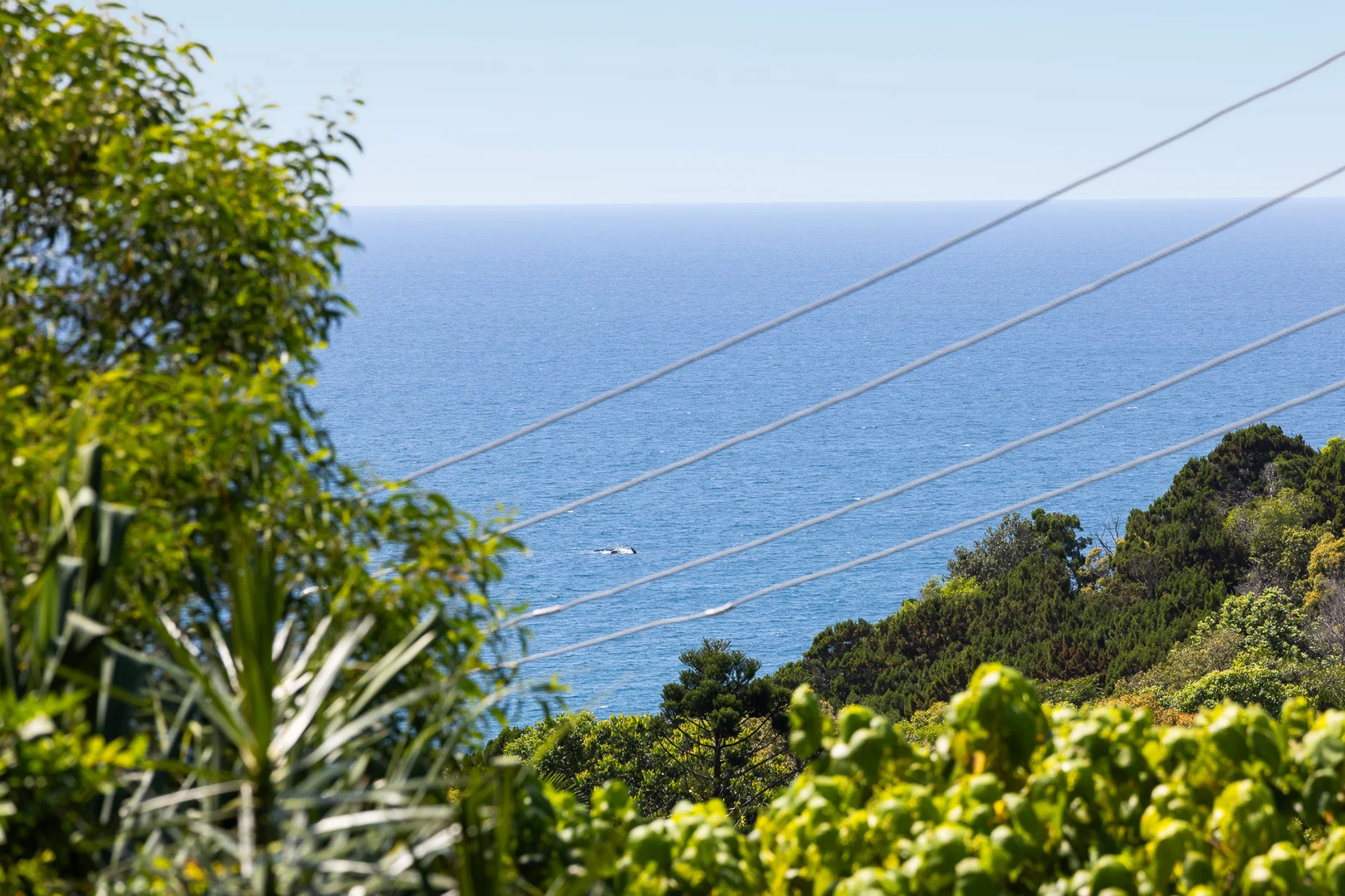 Additional image 6 of 4 Sandy Cove Crescent, Coolum Beach QLD 4573