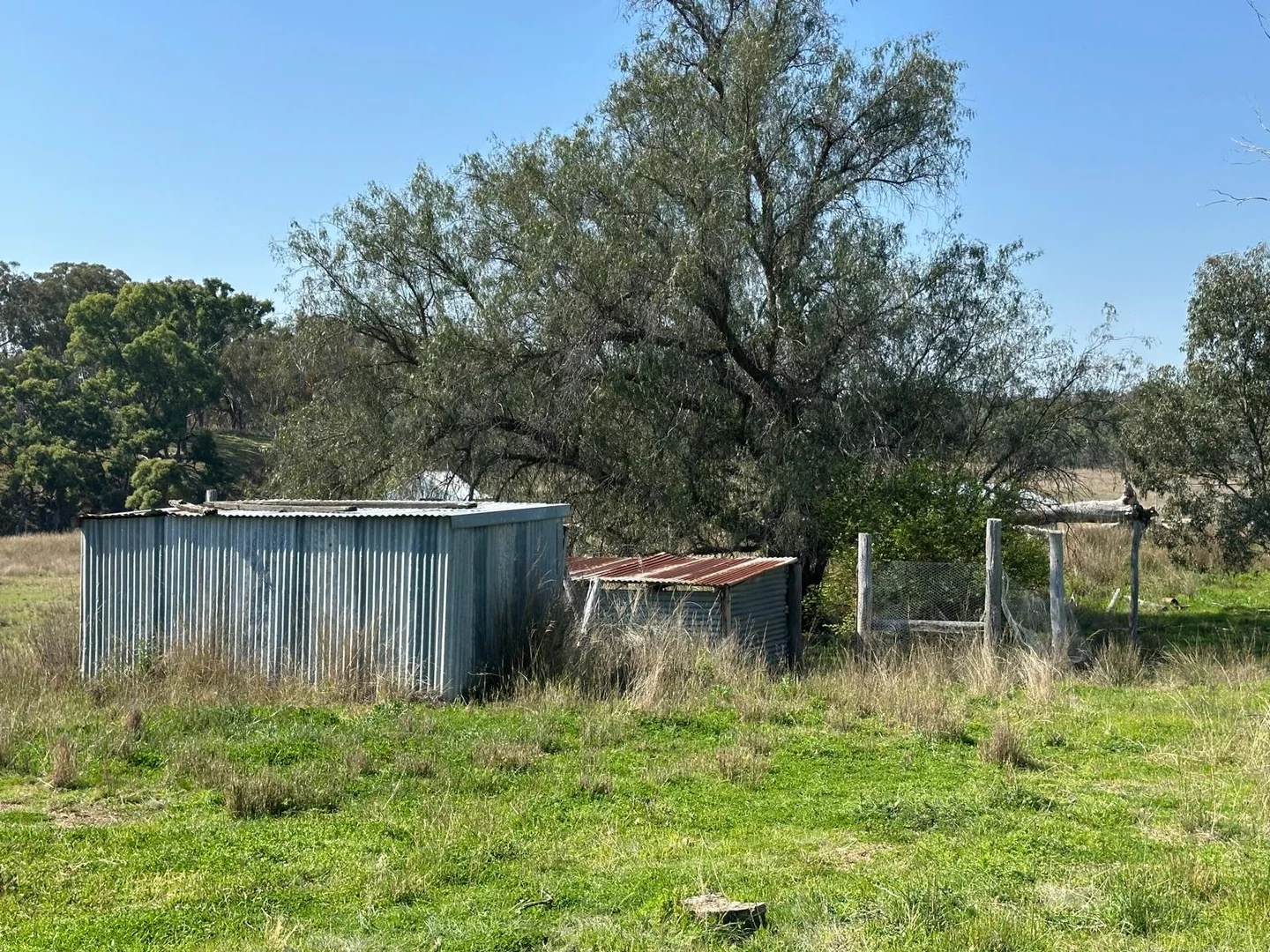 Additional image 18 of "Coolendoon" 810 The Pocket Road, Bukkulla NSW 2360