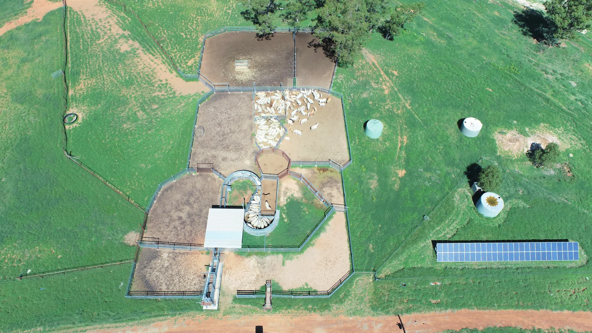 Additional image 6 of "Bonavista" 13724 Mitchell - St George road, Roma QLD 4455