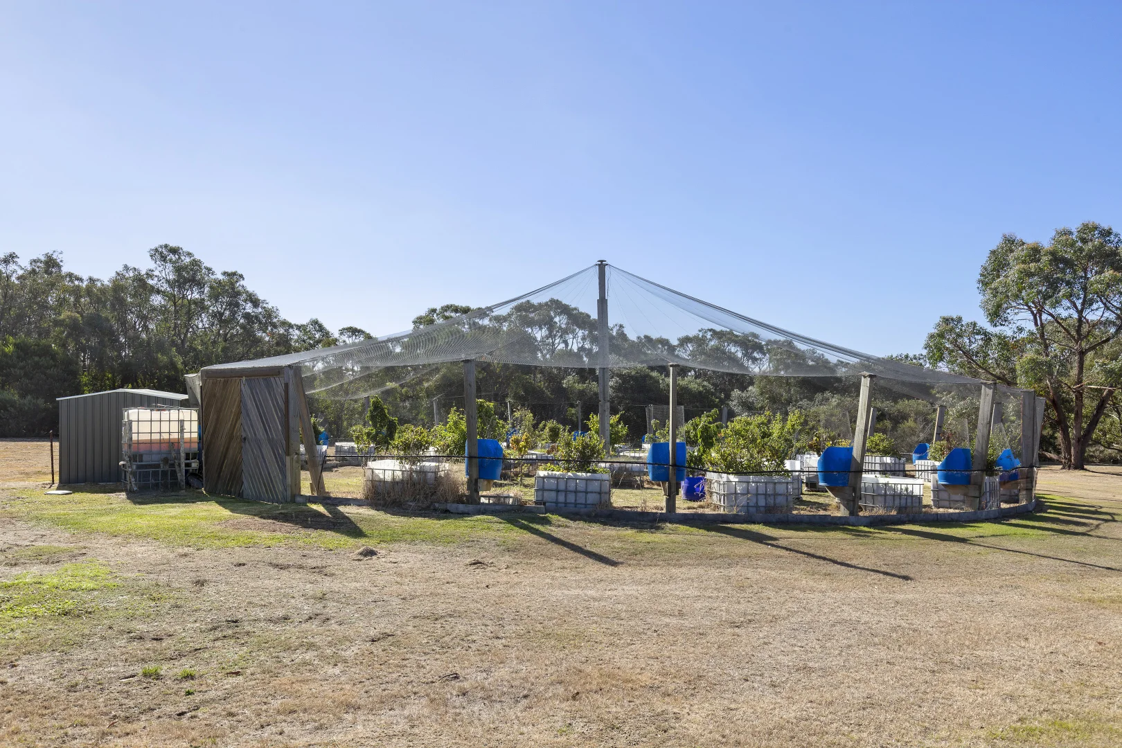 Additional image 24 of 195 Gundrys Road, Bellbrae VIC 3228