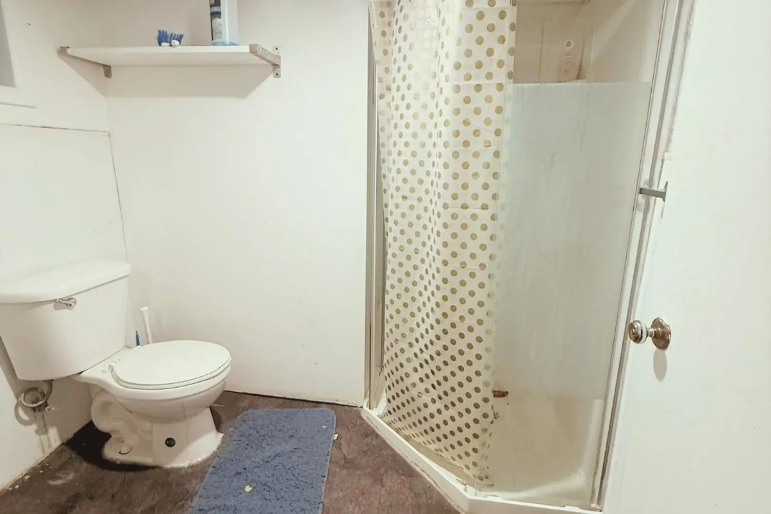 Additional image 18 of 237 Balsam Avenue