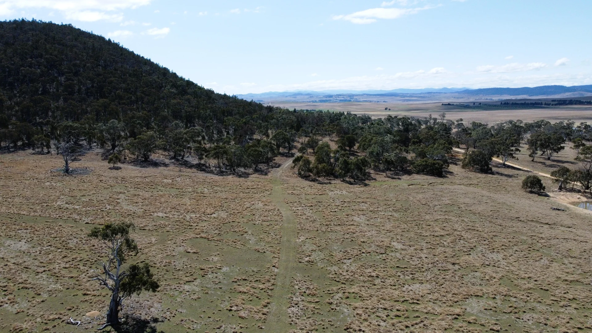 Additional image 23 of 49 Greystone Road, Binjura NSW 2630