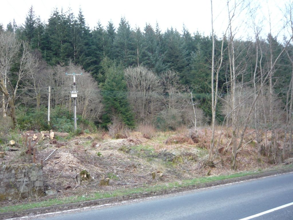 Land for salePlot Innerghlinnie Shore Road, Kilmun PA23 photo 3