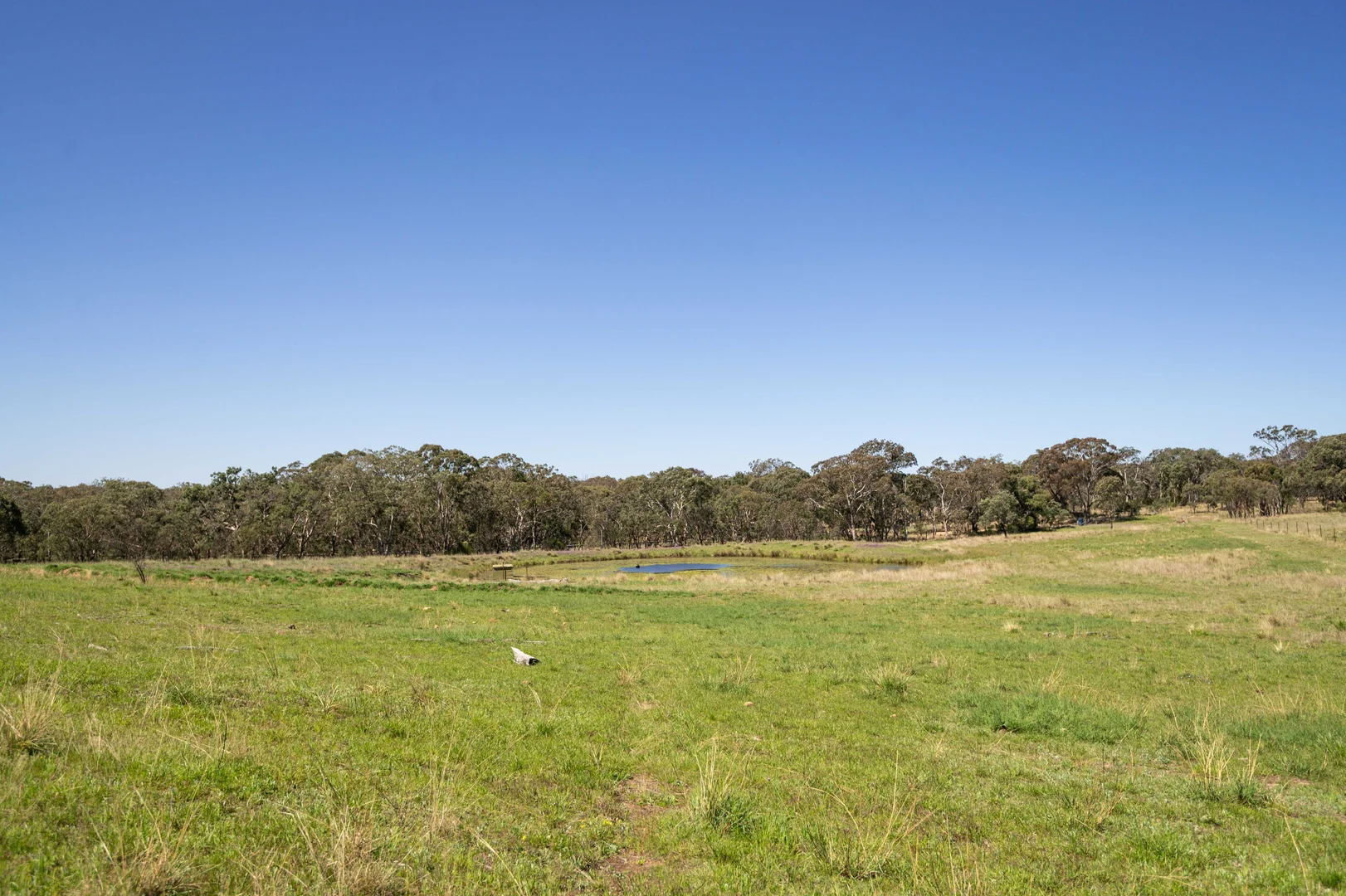 Additional image 6 of 4 Brown Road, Dalveen QLD 4374