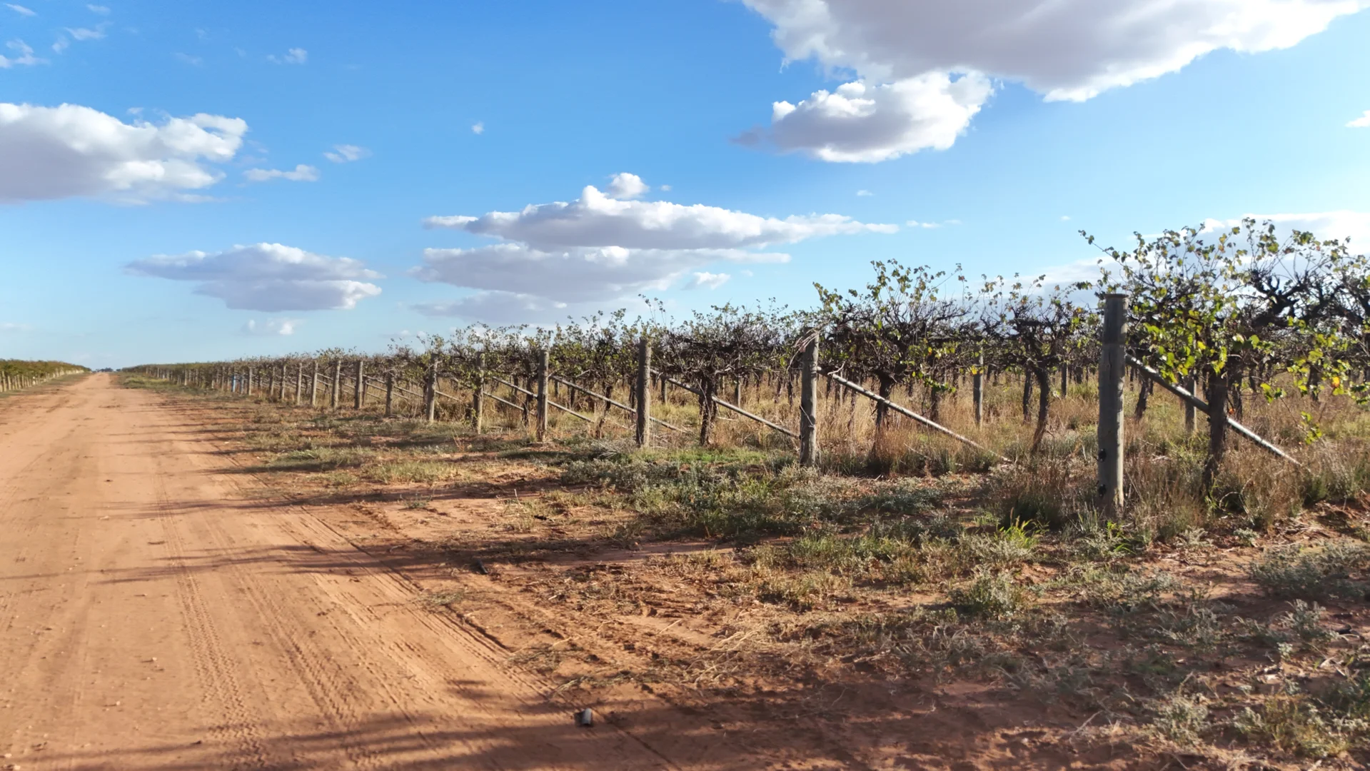 Additional image 26 of 595 Woorinen Road, Swan Hill VIC 3585