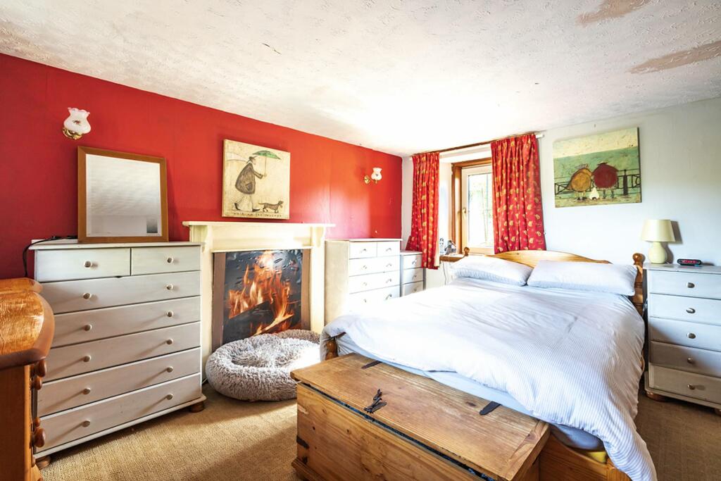 Additional image 29 of Bauds Pet Care and Garden Centre, Woodhead Bauds, Buckie, AB56 4DY