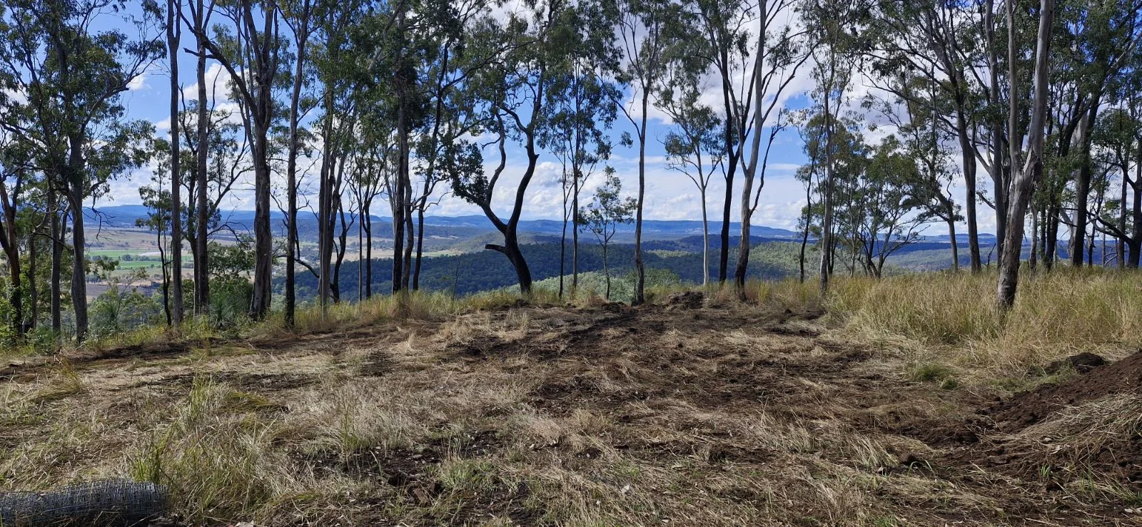 Additional image 13 of 524 Plains Station Road, Tabulam NSW 2469