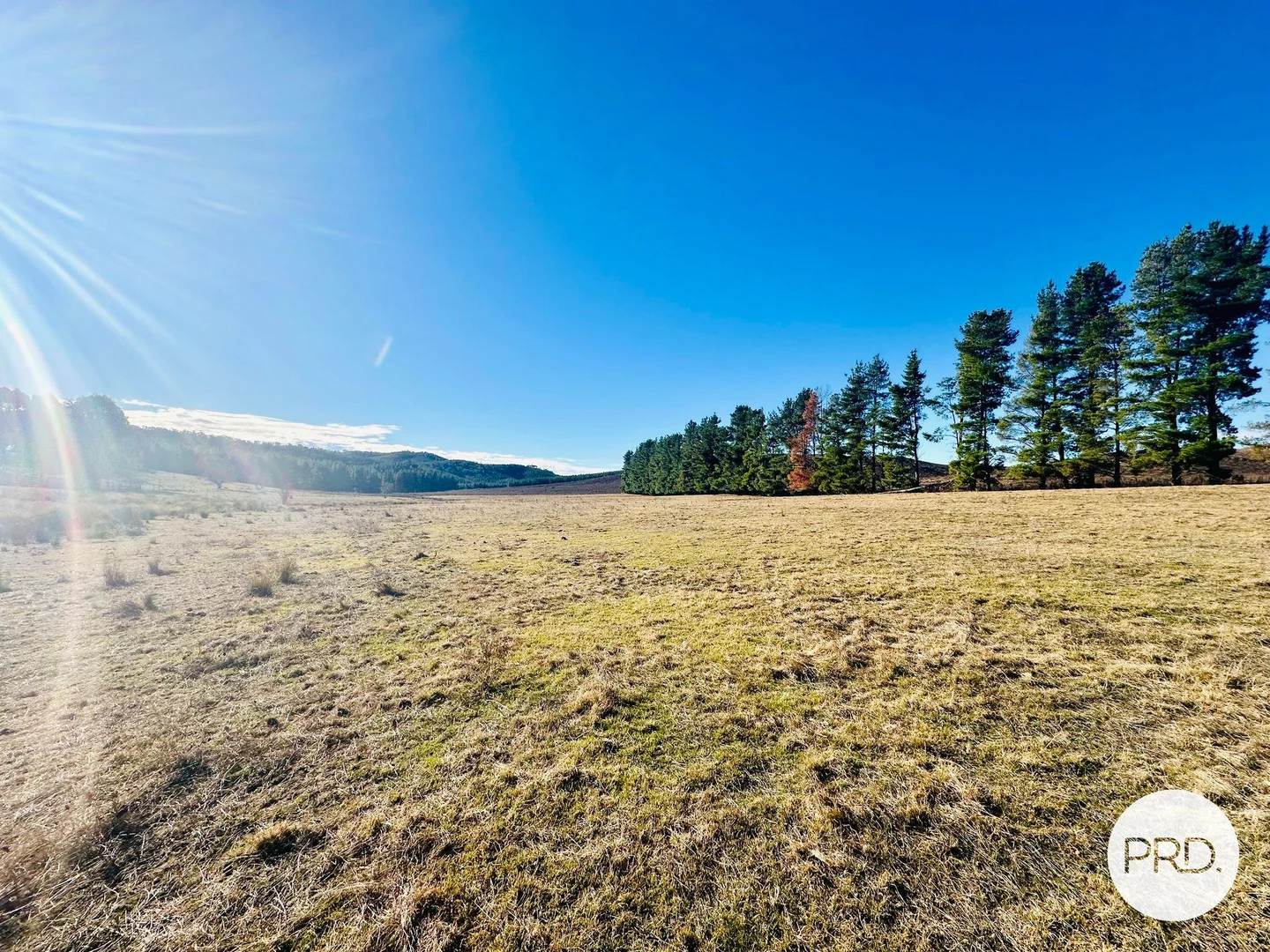 Additional image 37 of 233 Logans Road, Tumbarumba NSW 2653