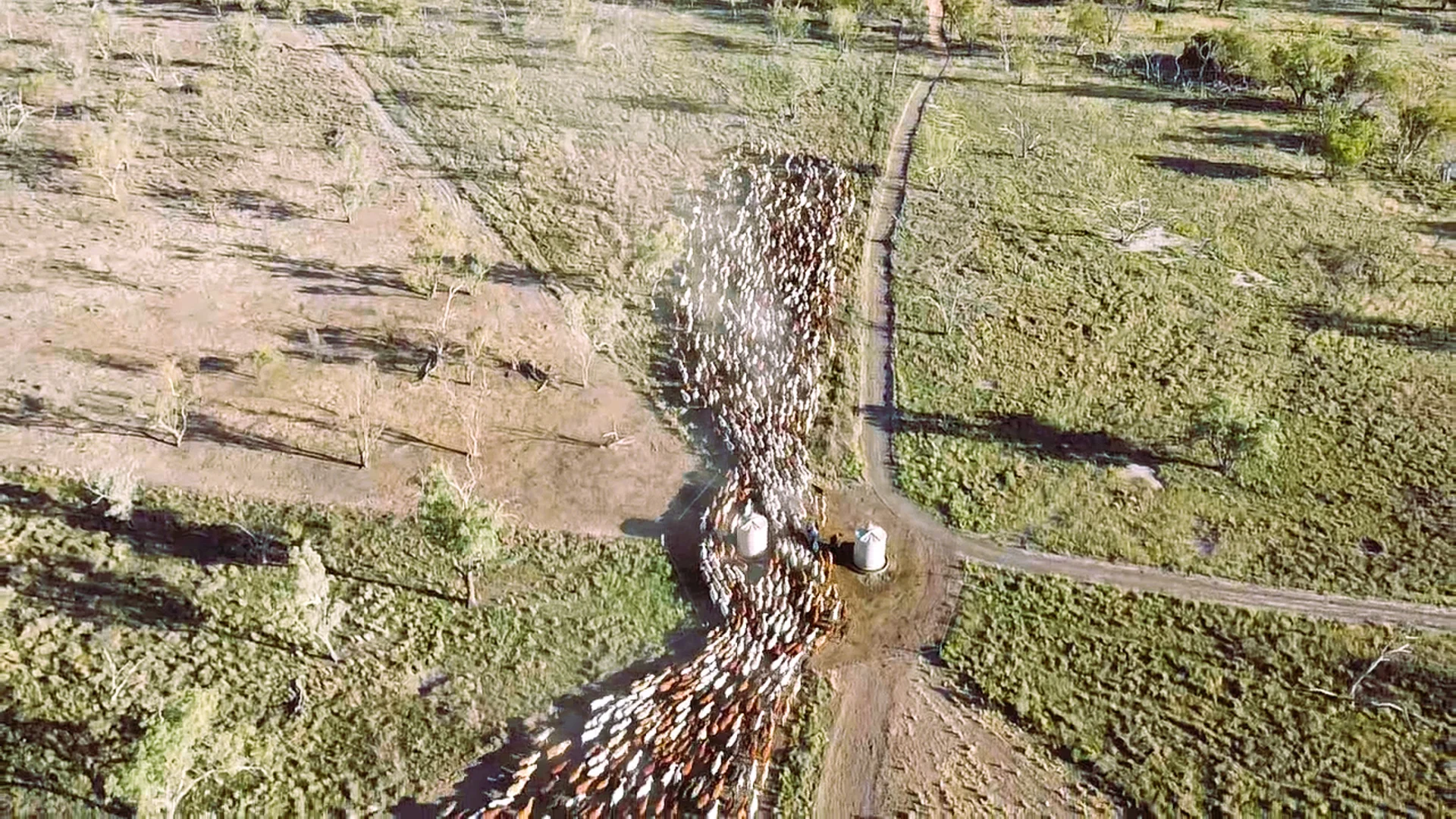 Additional image 6 of 2369 Eureka Plains Road, Enngonia NSW 2840