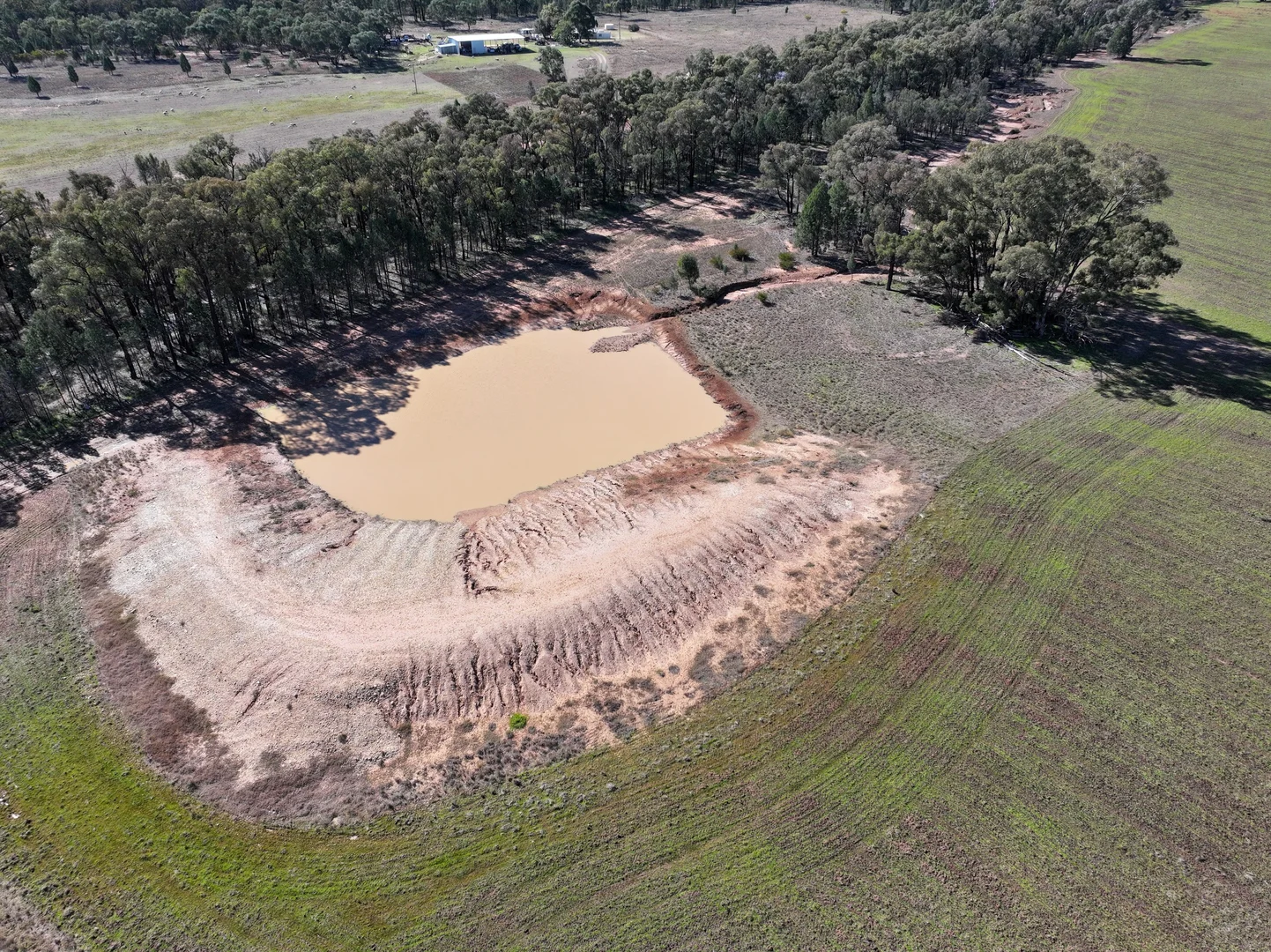 Additional image 2 of 'Belmont' 71R Maiala Road, Eumungerie NSW 2822