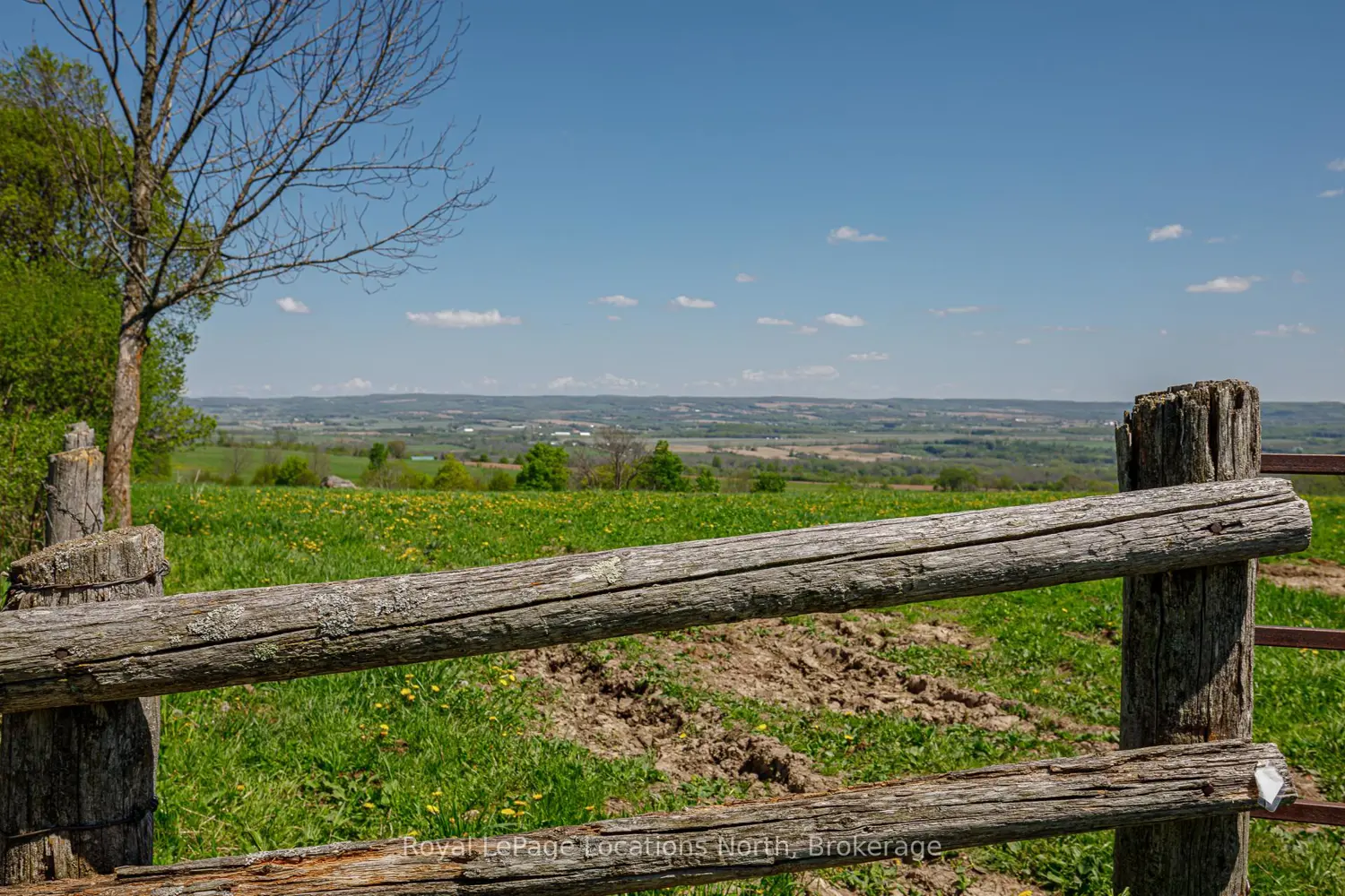 Additional image 16 of 23 3Rd Line D Line