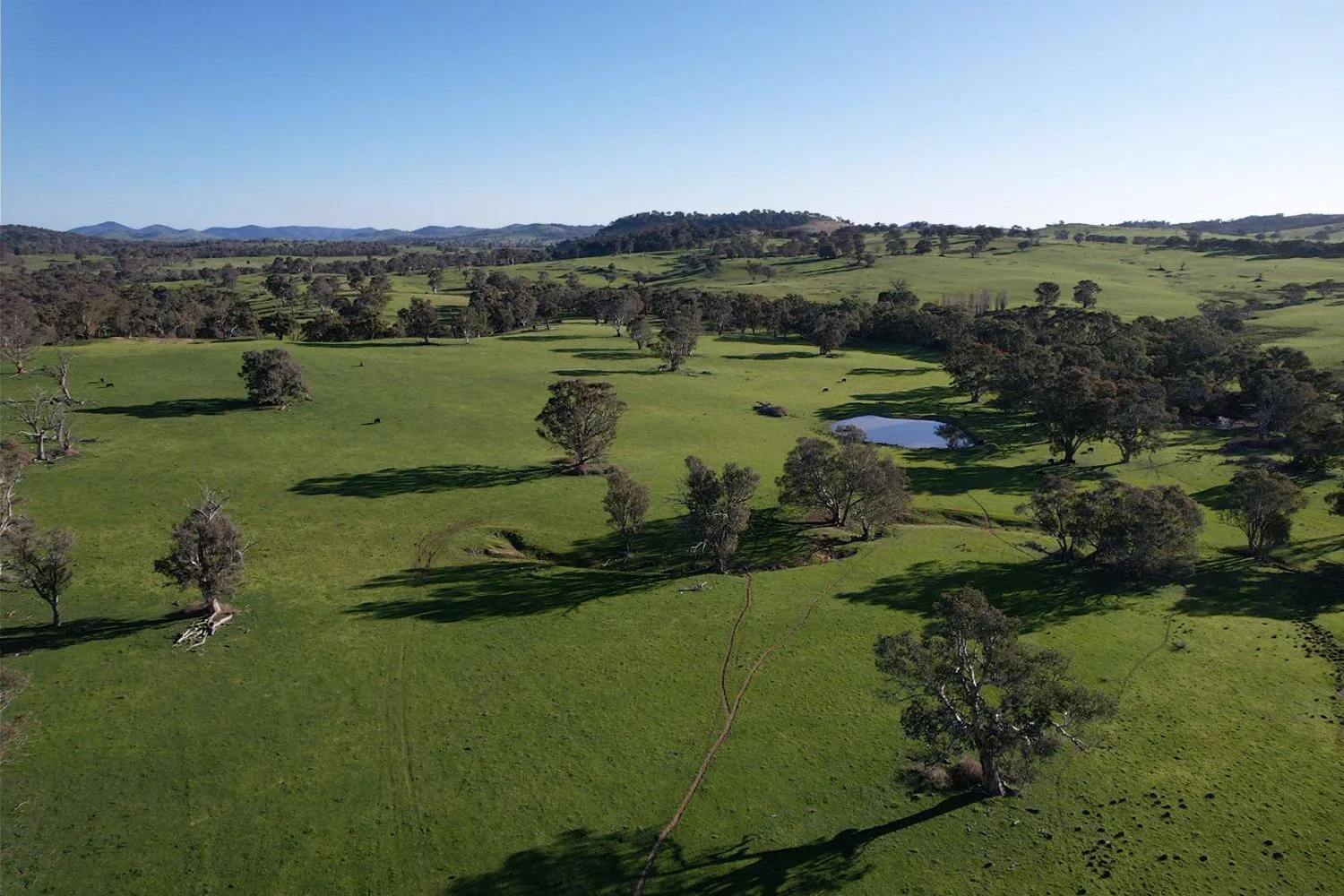 Additional image 6 of 0 Illalong Road, Bookham NSW 2582