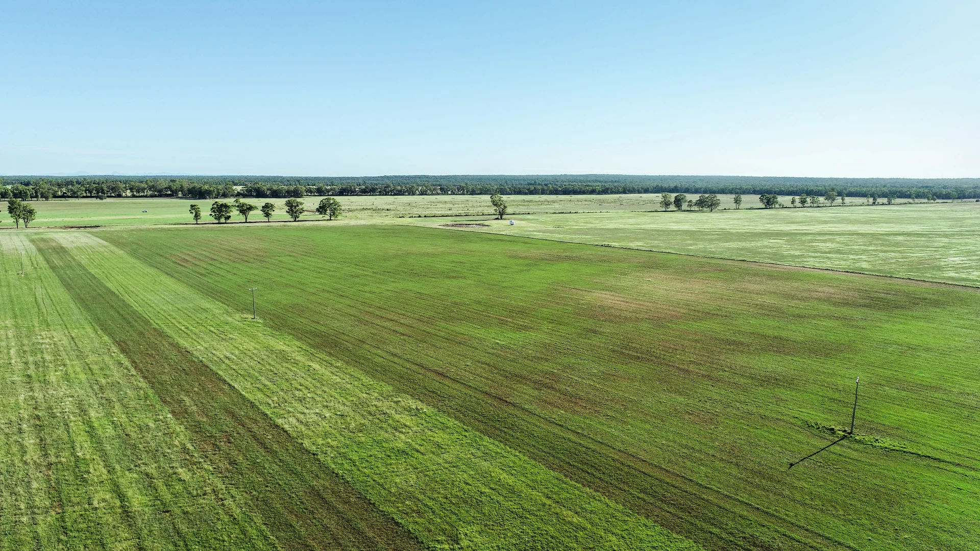 Additional image 11 of 150R Mogriguy Forest Road, Dubbo NSW 2830