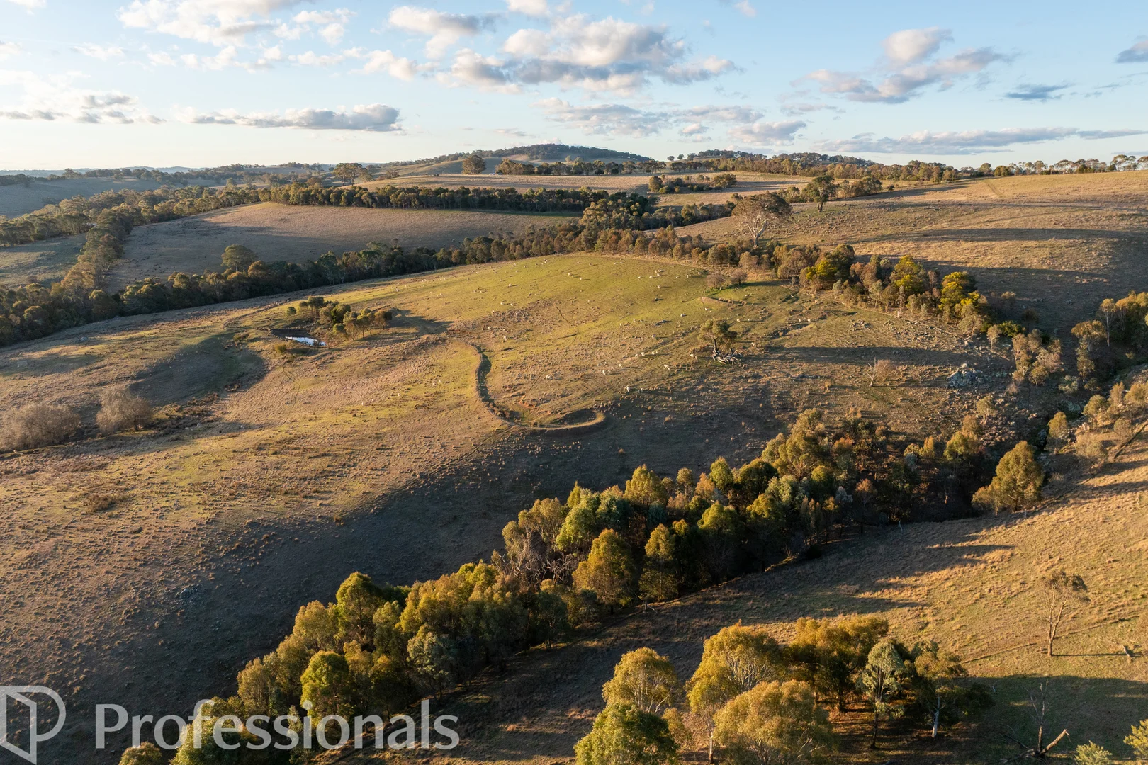 Additional image 6 of 174 Emu Swamp Road, Orange NSW 2800