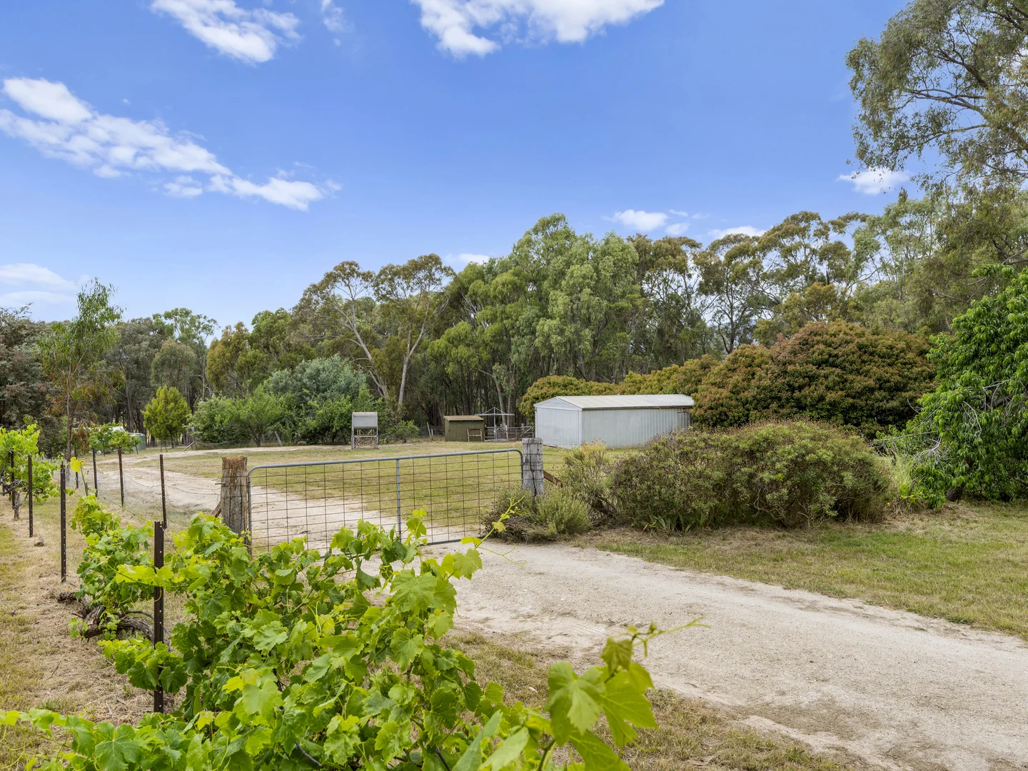 Additional image 11 of 203 Tulley Road, Lima East VIC 3673