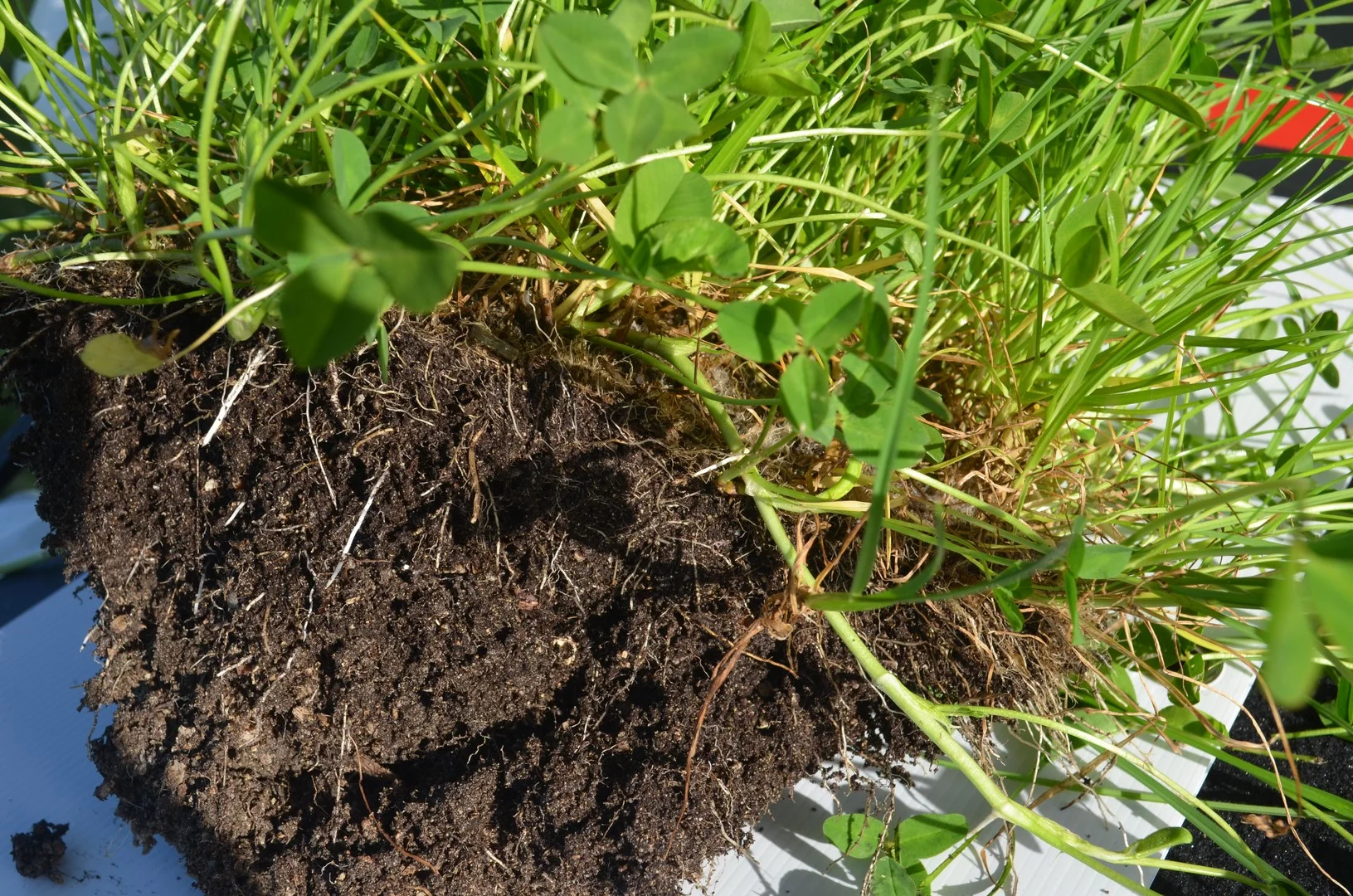 Lot 2 & 32 Southern Ports Highway, Robe SA 5276