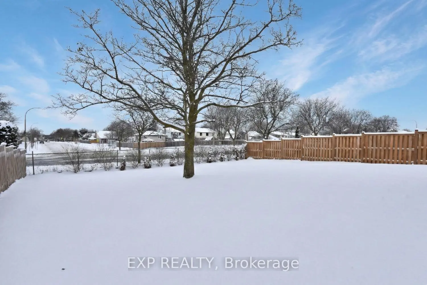 Additional image 18 of 47 Odessa Street