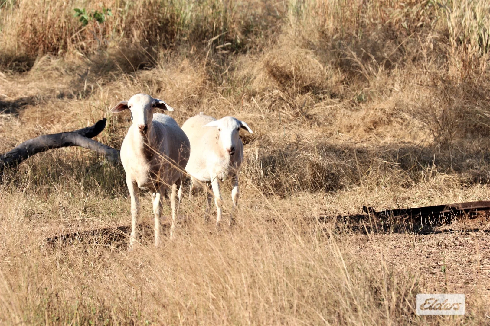 Additional image 25 of 965 Strickland Road, Adelaide River NT 0846