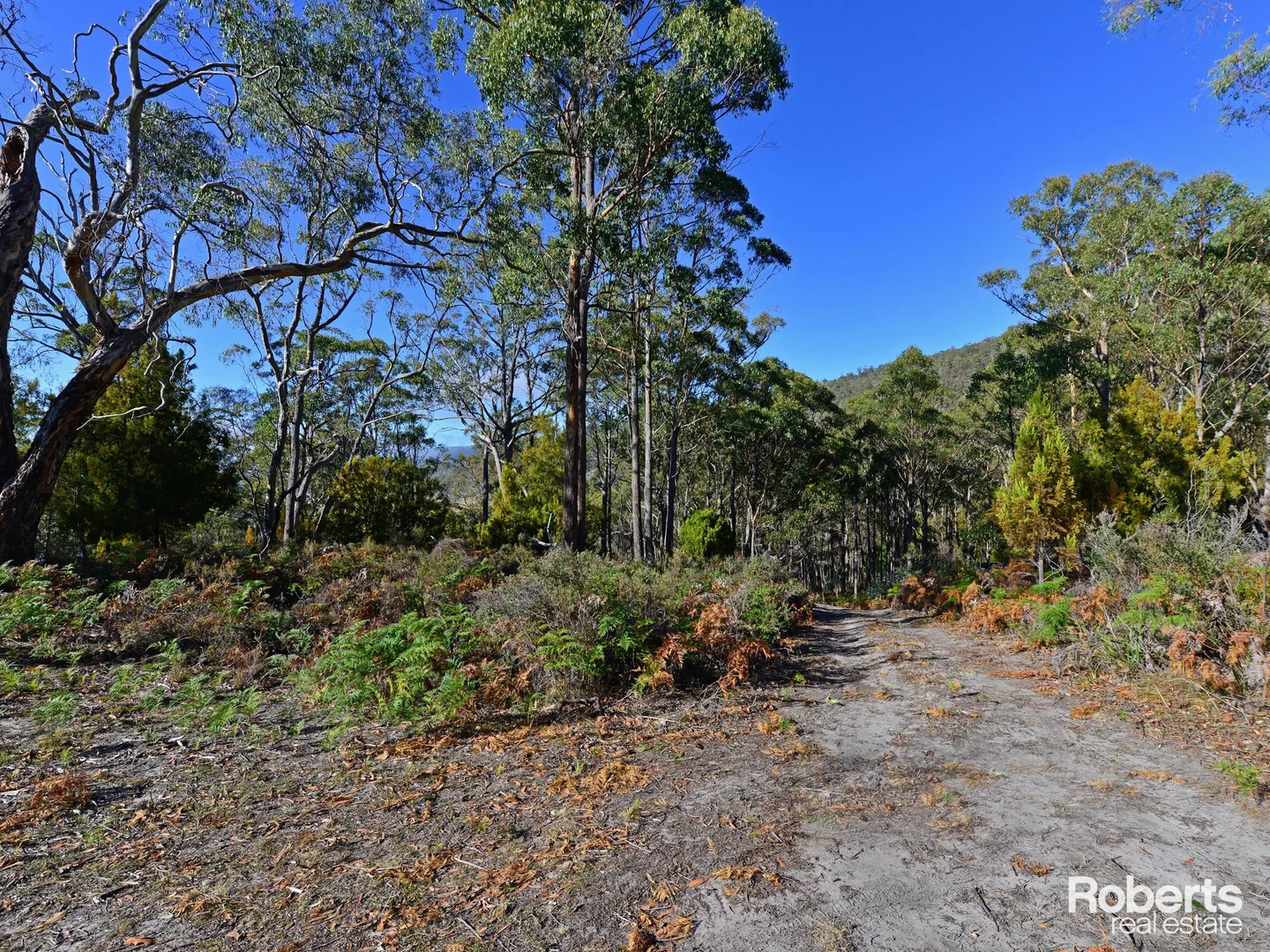 Additional image 3 of Fentonbury TAS 7140