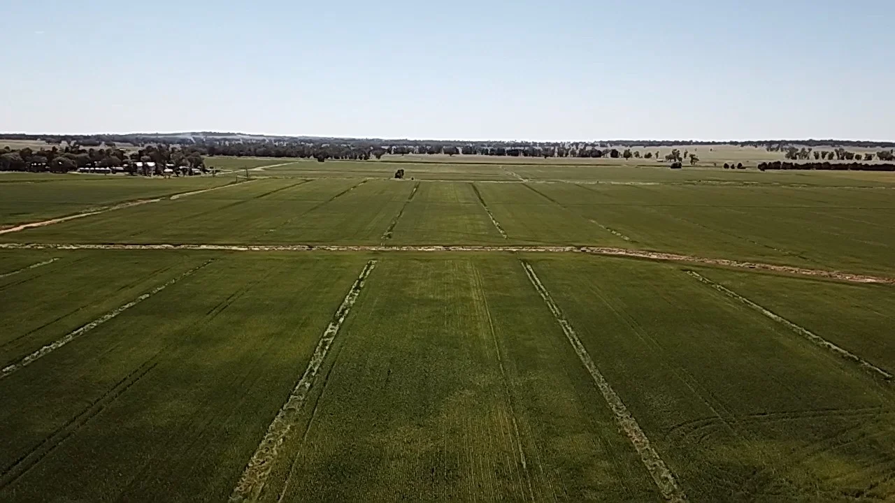 Additional image 9 of 678 Back Barooga Road, Barooga NSW 3644