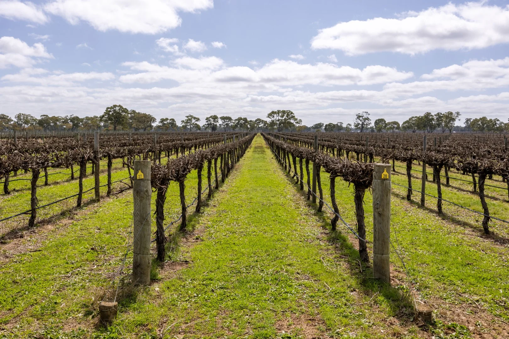 Additional image 24 of 148 McLean Road, Coonawarra SA 5263