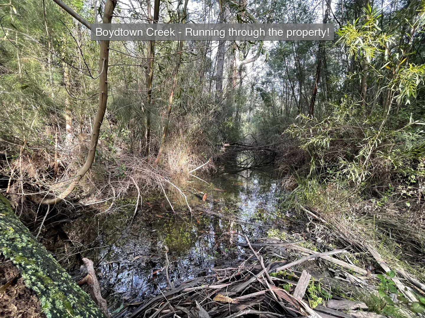 Additional image 12 of 38 Yarran Rd, Boydtown NSW 2551