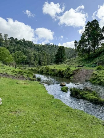 Additional image 24 of 160 Morwell River East Branch Road, Grand Ridge VIC 3870