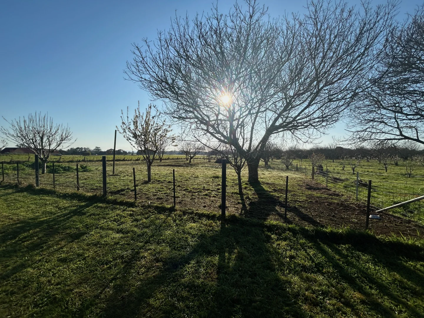 Additional image 11 of 703A James Lane, Trentham East VIC 3458