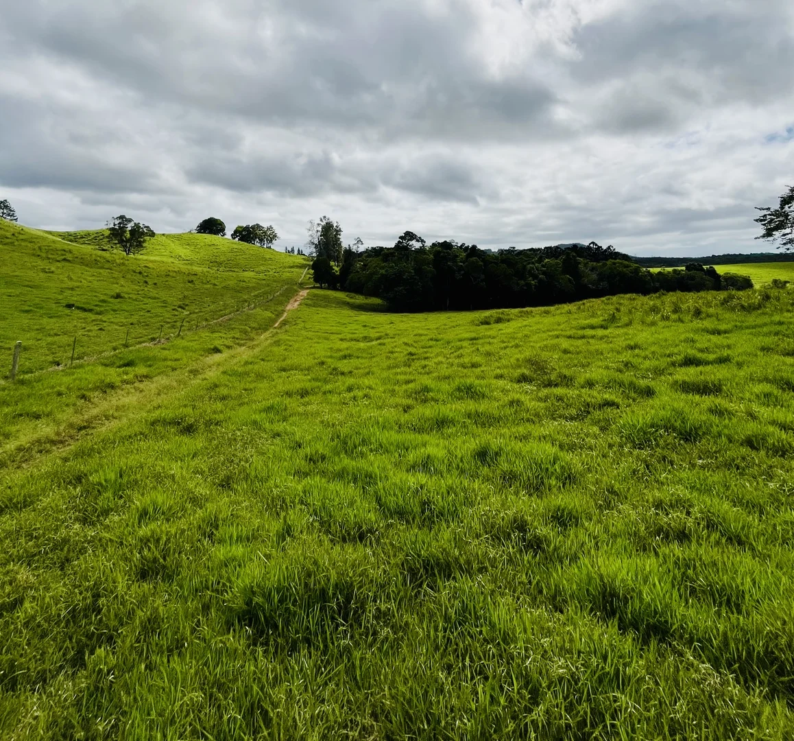 Additional image 45 of 1297 Mossman - Mt Molloy Rd, Julatten QLD 4871