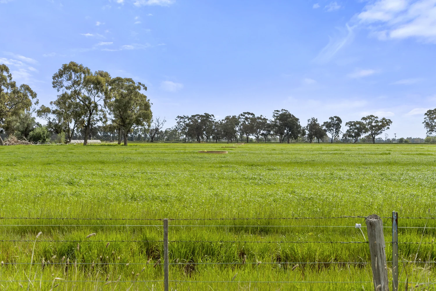Additional image 31 of 2896 Murray Valley Highway, Yielima VIC 3638
