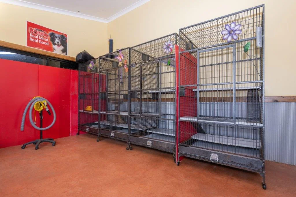 Additional image 22 of 251 Pattersons Lane, Young NSW 2594