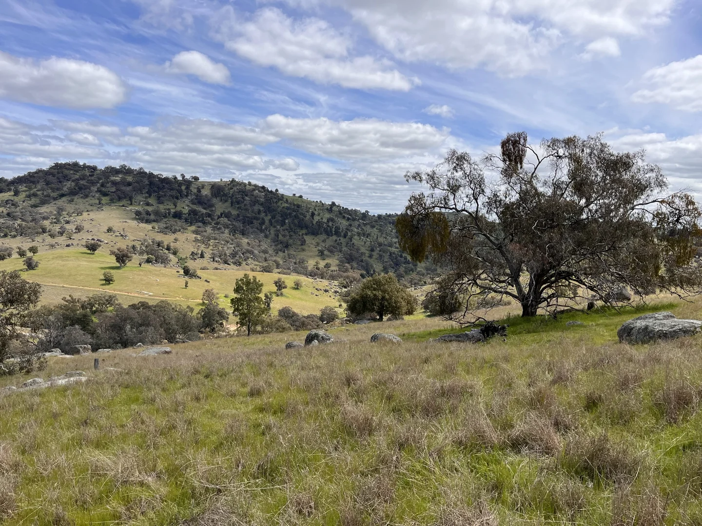 Additional image 21 of Lot 3 Tarrants Gap Road, Wyangala NSW 2808