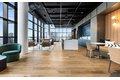 Additional image 18 of 741 N Wells St, Chicago, IL, 60654