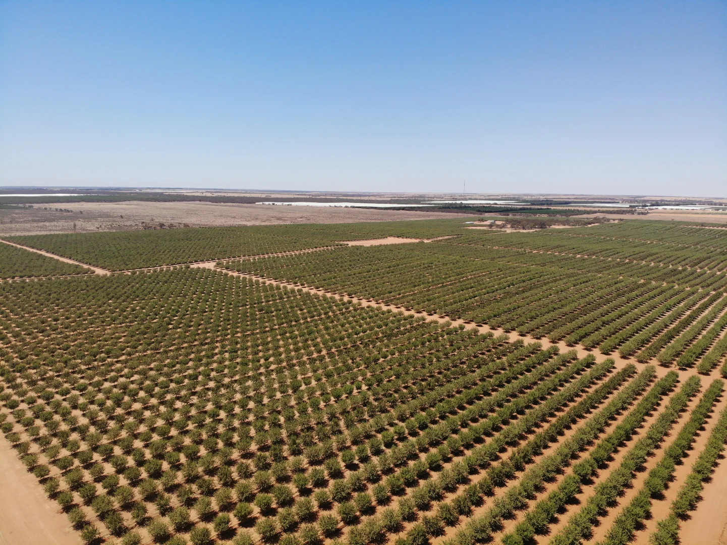 Additional image 6 of 971 Wilga Road, Red Cliffs VIC 3496