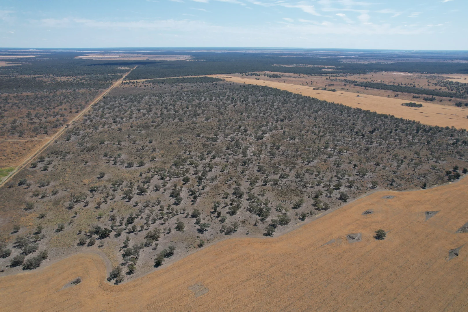 Additional image 14 of 3282 Gungalman Road, Carinda NSW 2831