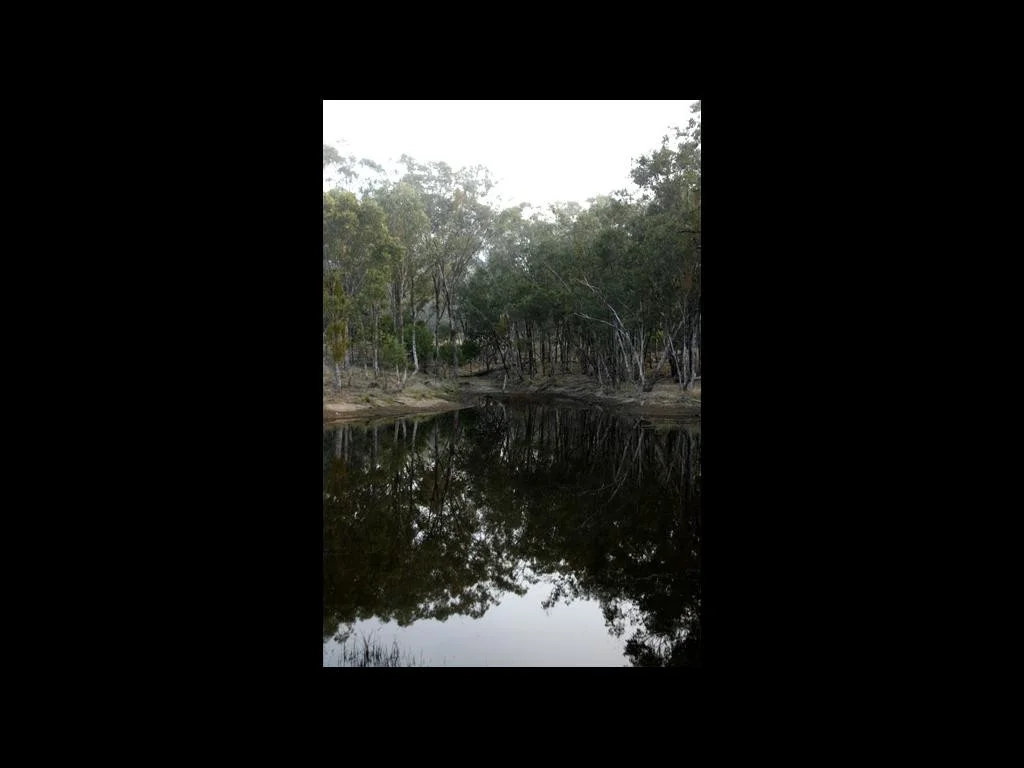 Additional image 9 of Limevale QLD 4384