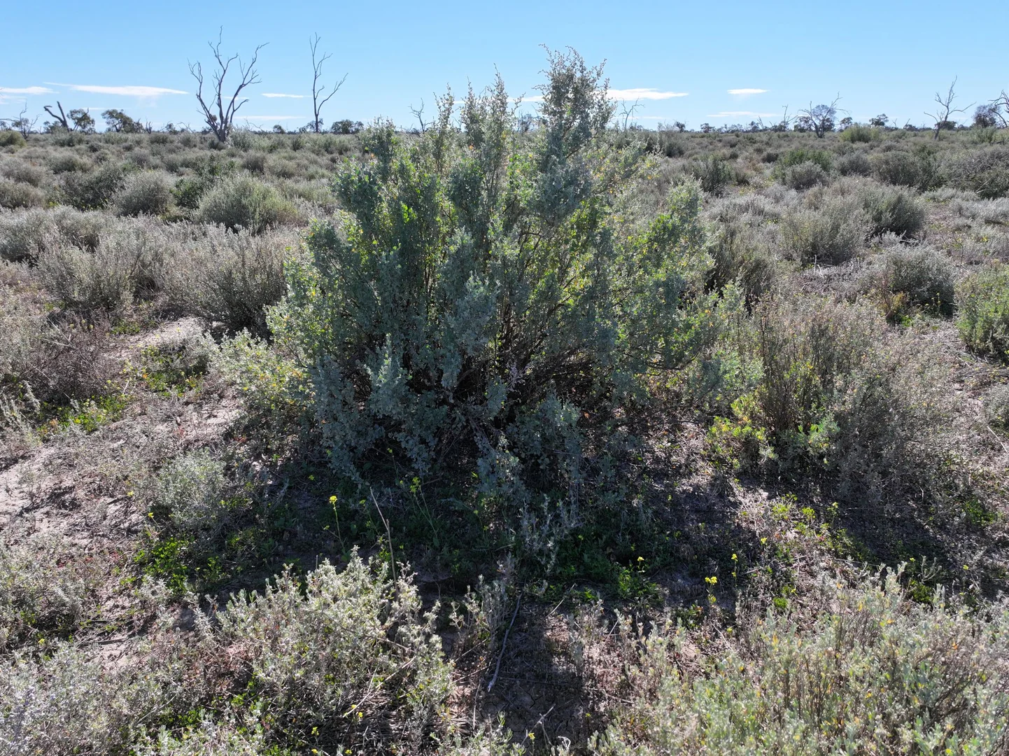 Additional image 8 of 1127 Green and Branders Road, Carinda NSW 2831