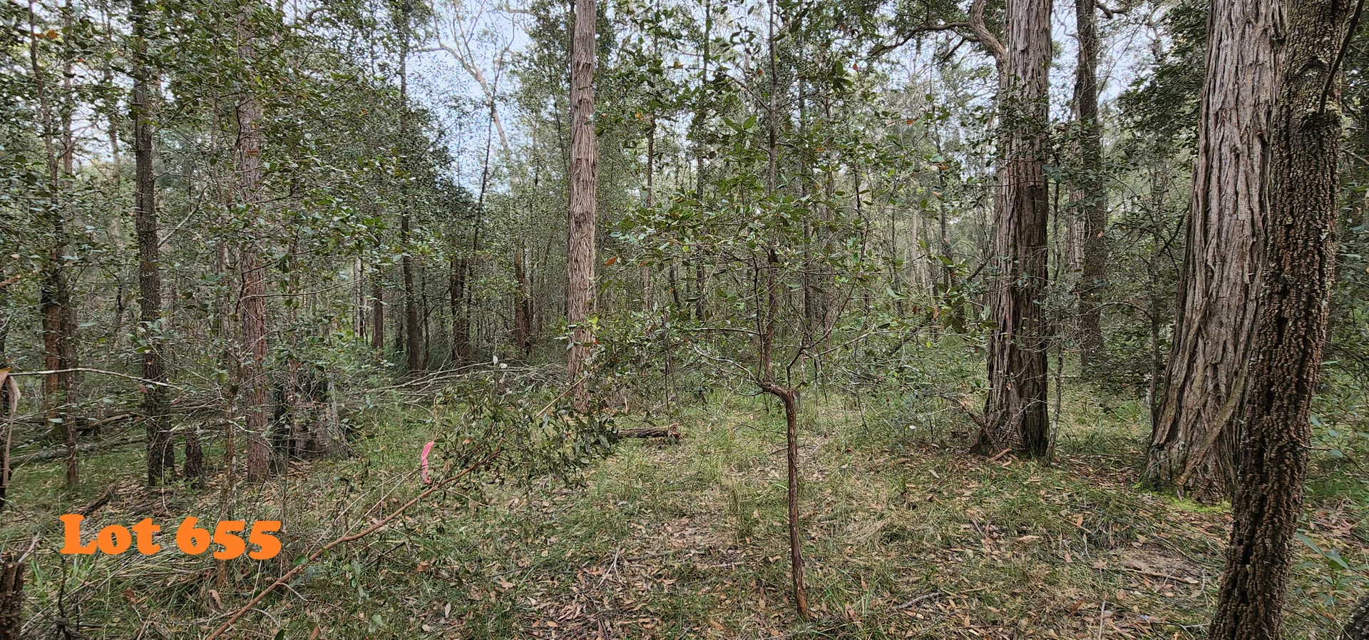 Additional image 10 of lot 655,658,660-661, Clarendon Cres, Basin View NSW 2540