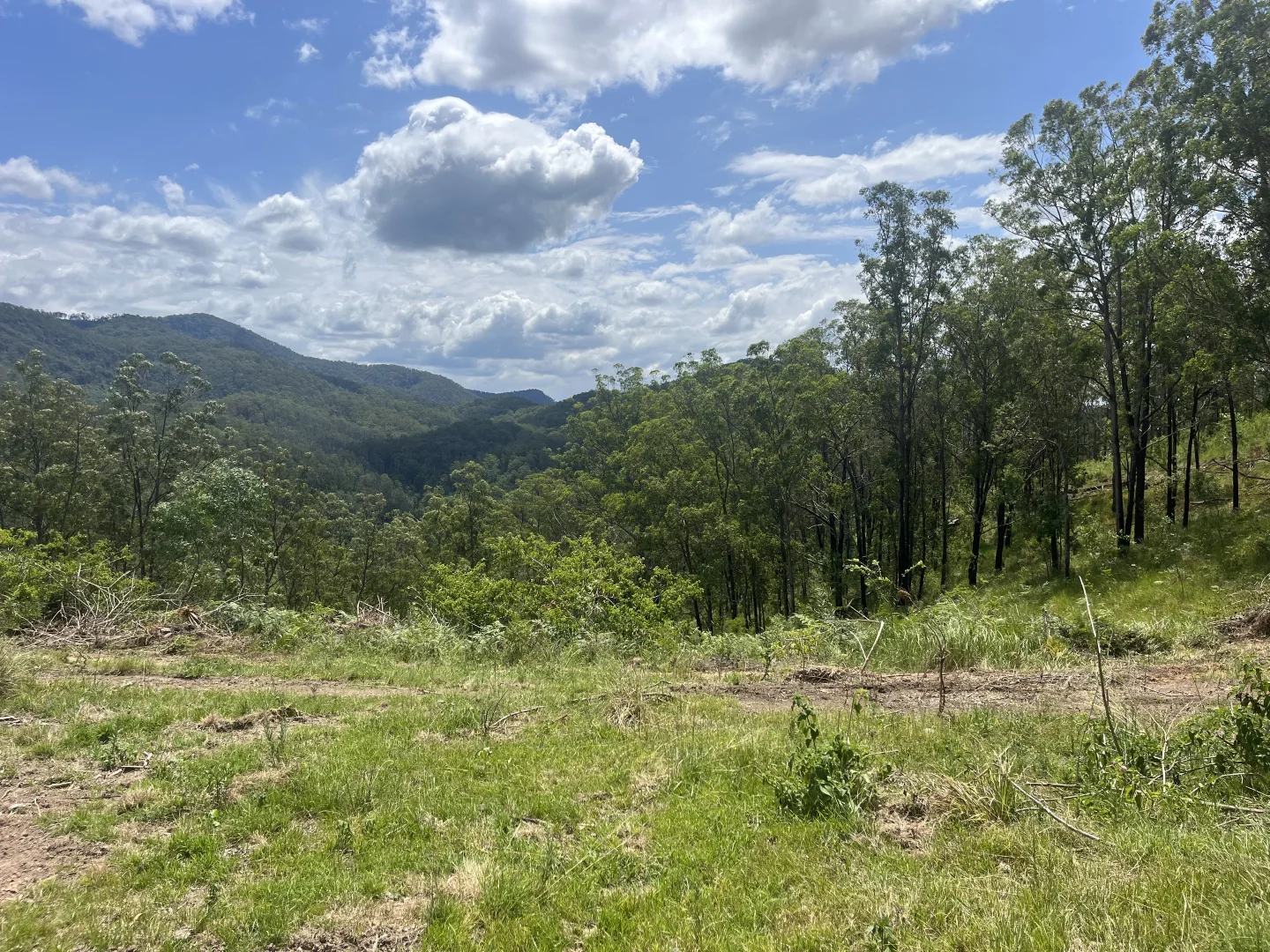 Additional image 6 of Nowendoc Road, Caffreys Flat NSW 2424