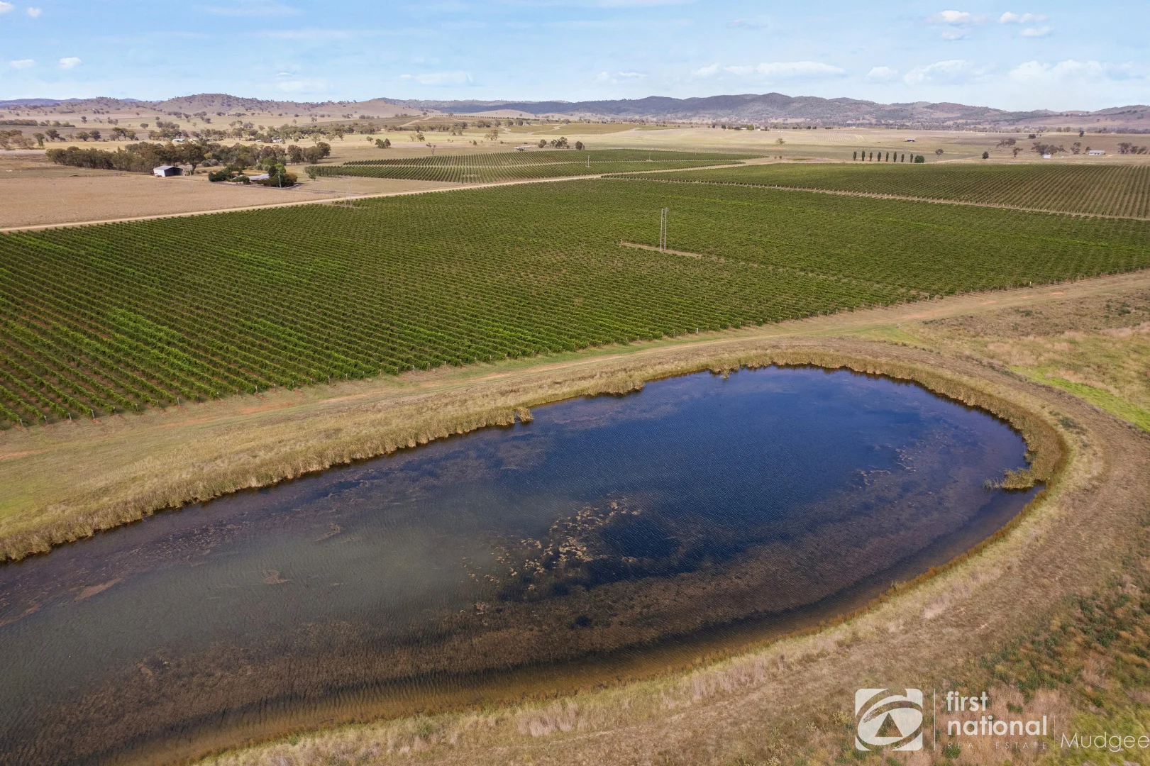 Additional image 5 of 70 Shiraz Drive, Gulgong NSW 2852