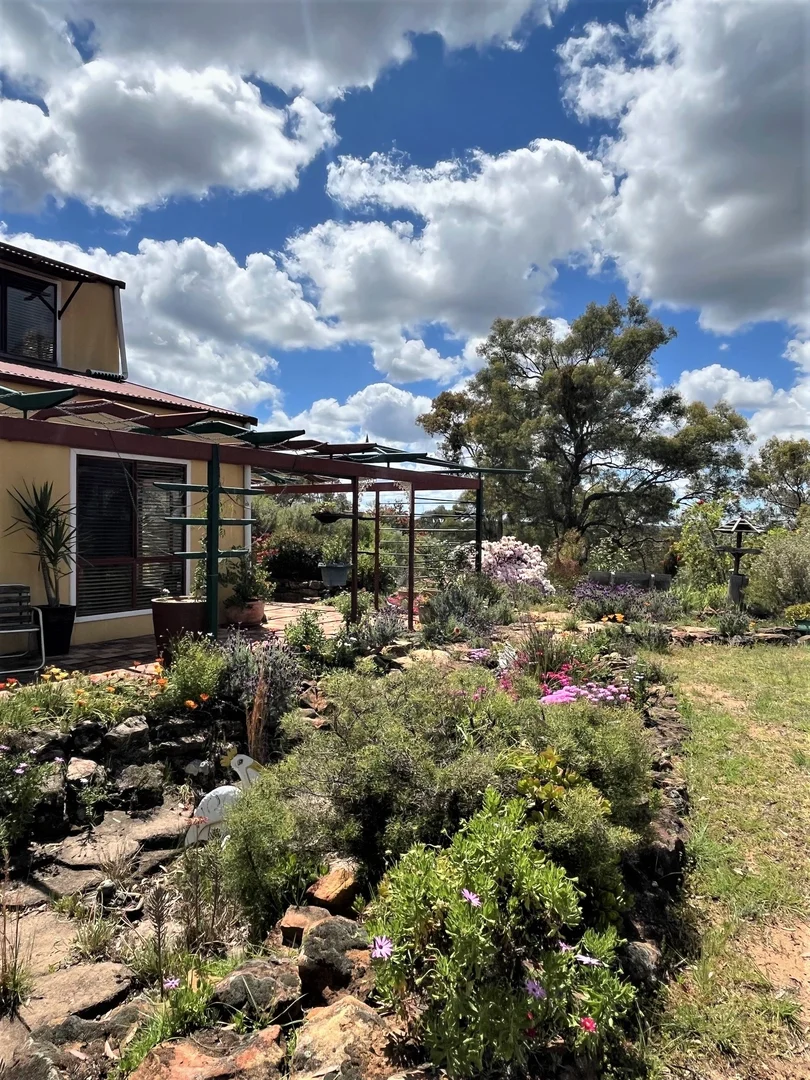 Additional image 30 of 4655 Baradine Road, Coonabarabran NSW 2357