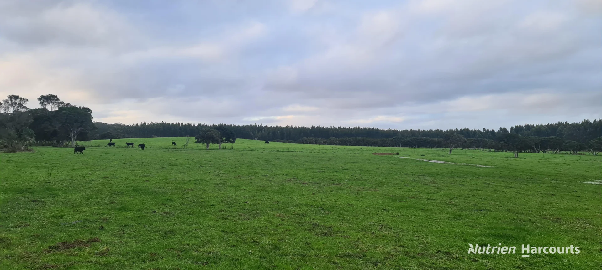 Additional image 6 of 526 Board Road, Kordabup WA 6333