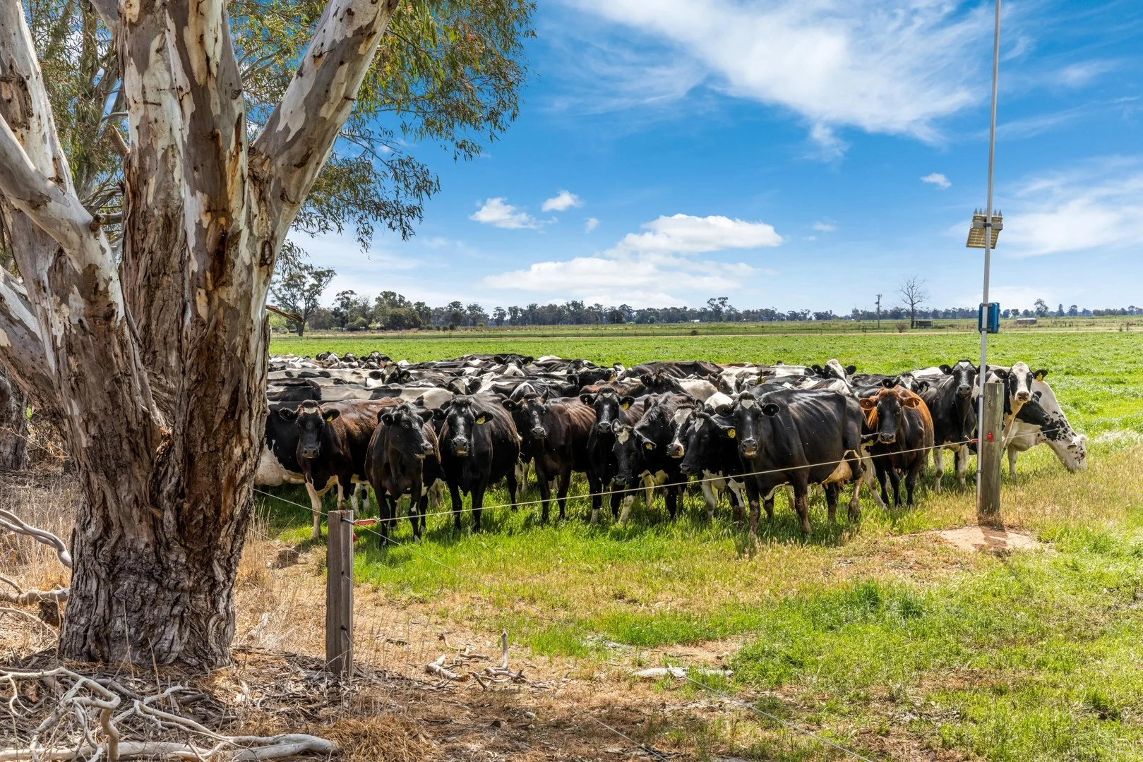 Additional image 3 of 2217 Henderson Road, Girgarre VIC 3624