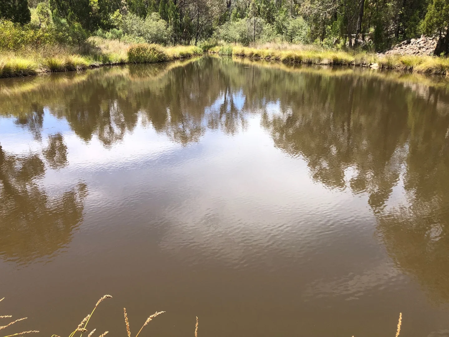 Additional image 4 of Nullamanna NSW 2360