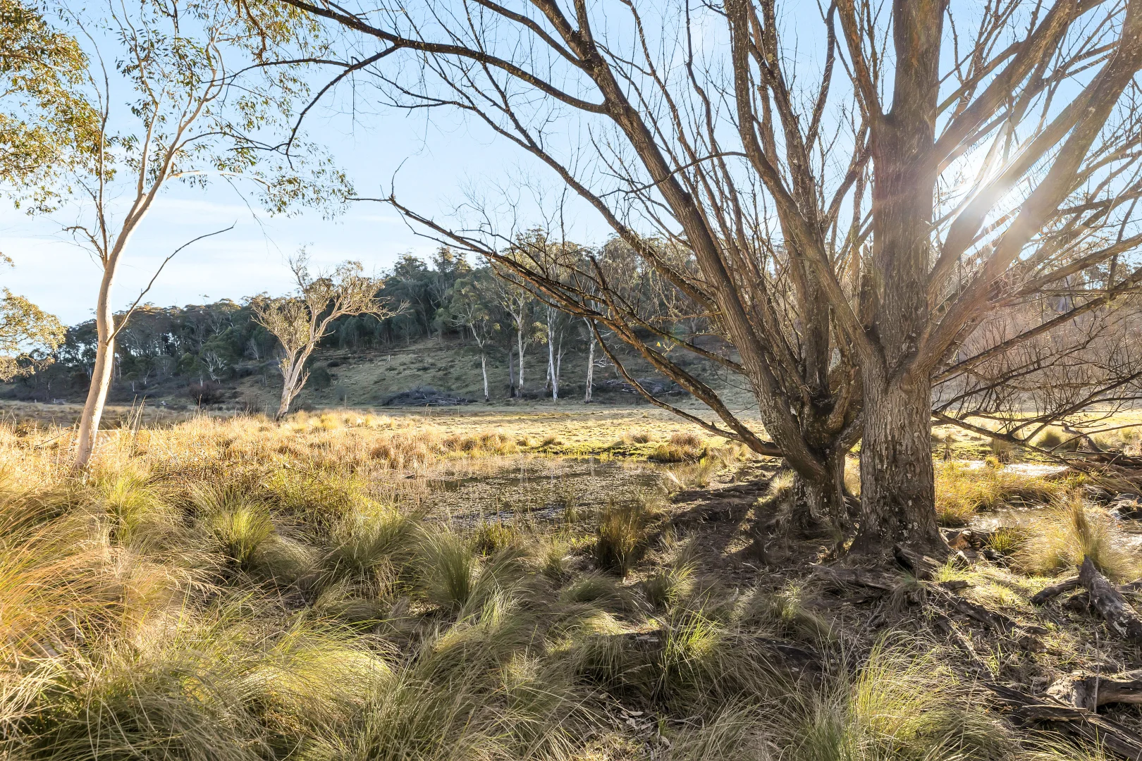 Additional image 23 of 1974 Tuross Road, Kybeyan NSW 2631