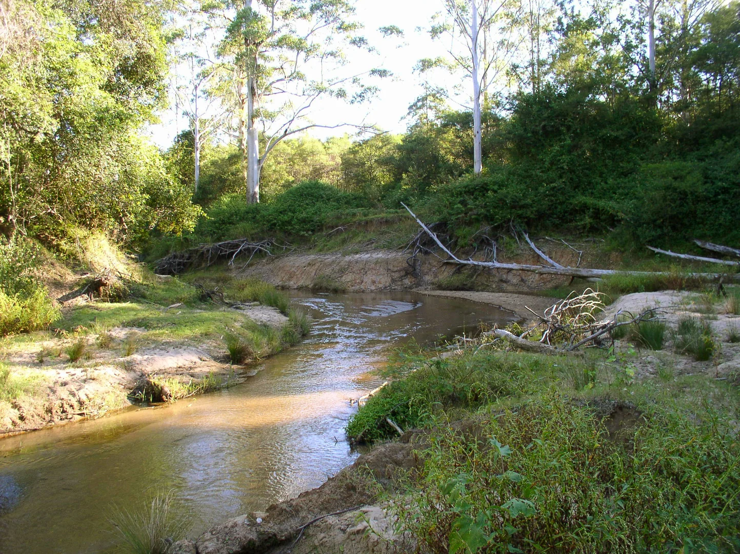 Additional image 32 of 115 Upper Cherry Tree Road, Upper Mongogarie NSW 2470