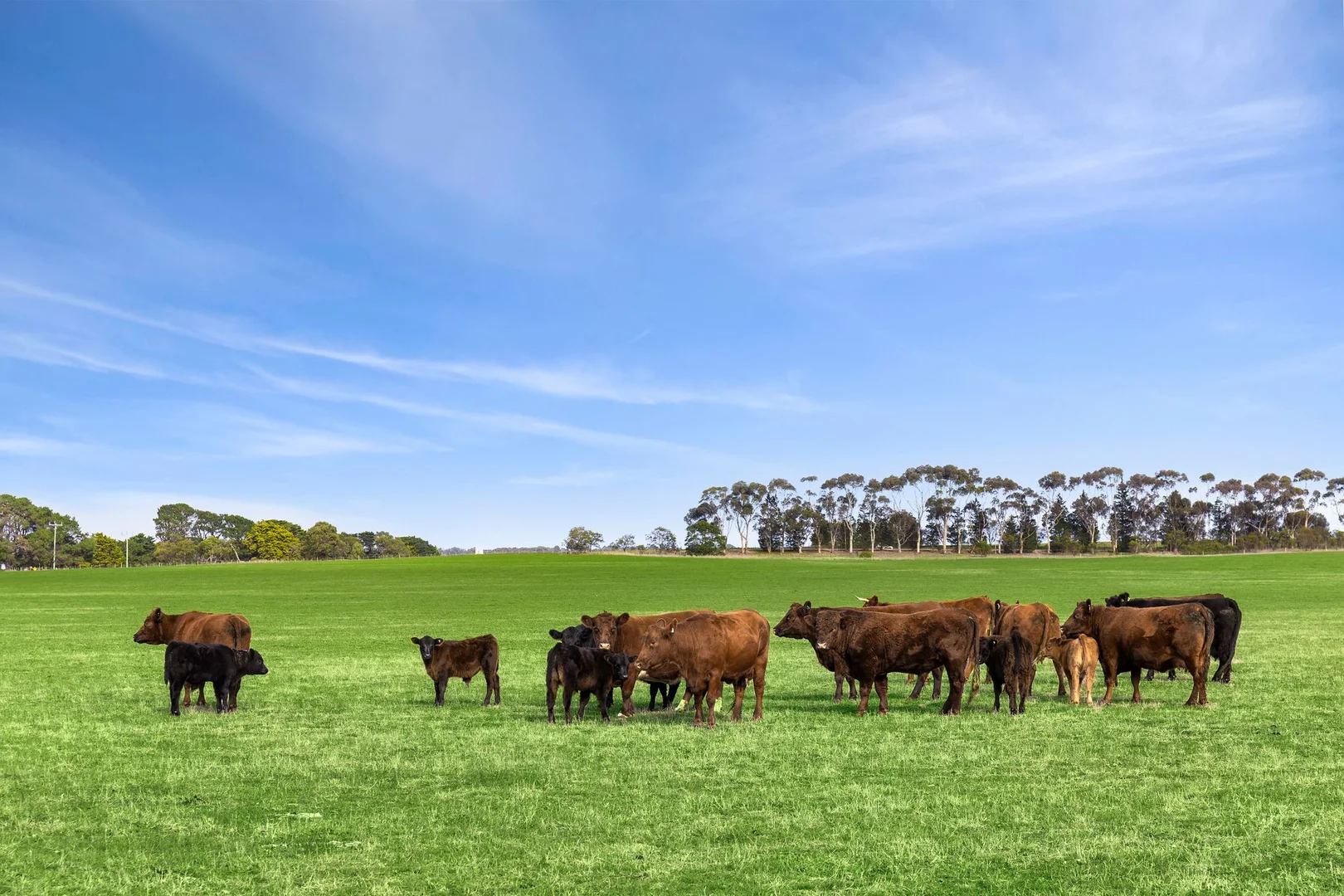 Additional image 6 of 680 Ghazeepore Road, Freshwater Creek VIC 3217