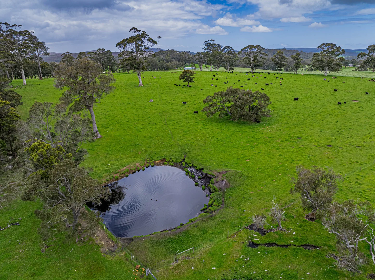 Additional image 16 of 114 Walter Pierce Road, Hazelvale WA 6333