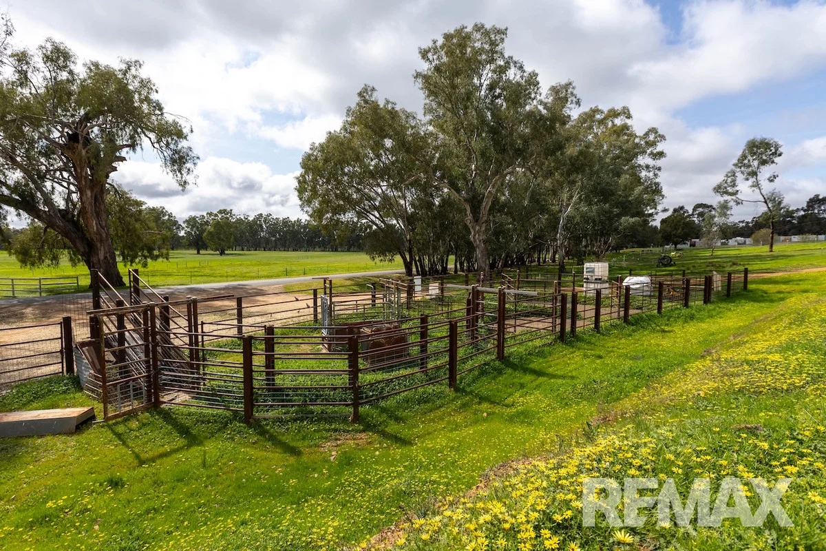192 Roach Road, Moorong NSW 2650